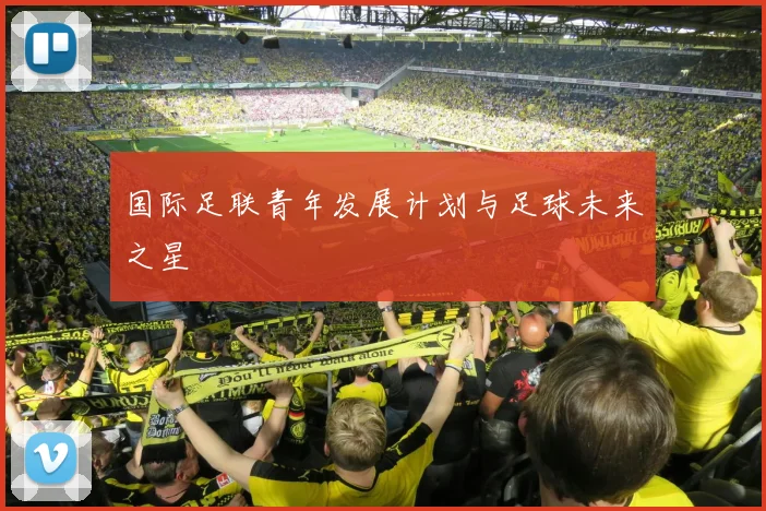 国际足联青年发展计划与足球未来之星