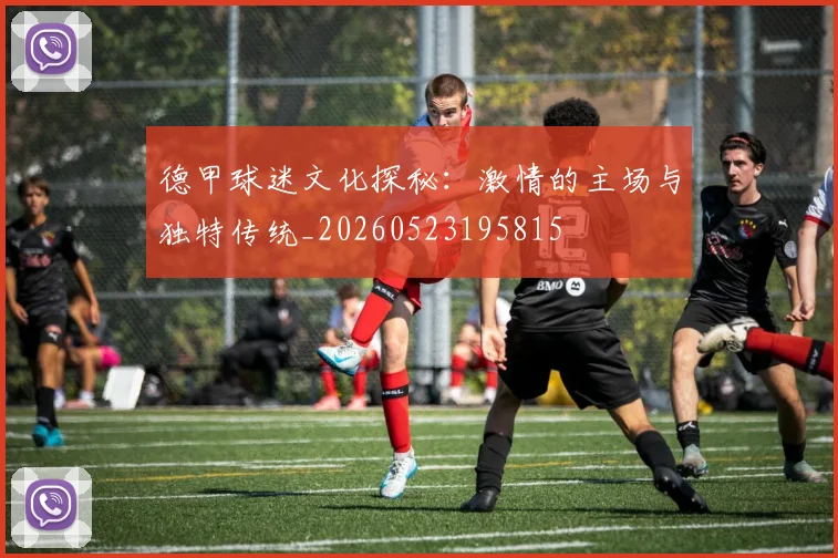 德甲球迷文化探秘：激情的主场与独特传统_20260523195815